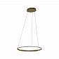 Подвесной светодиодный светильник Kink Light Тор-Трек 08658,14 - фото №1