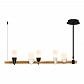 Подвесная светодиодная люстра Loft IT Whisper 1028-5BL - фото №1