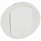 Лицевая панель Legrand 068037