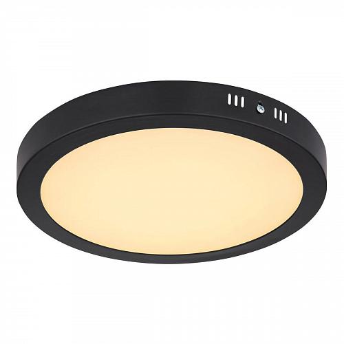 Потолочный светодиодный светильник Globo Dino 12374-24R