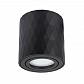 Потолочный светильник Arte Lamp Fang A5559PL-1BK - фото №1