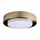 Потолочный светодиодный светильник Loft IT Button Copper 10007/36 - фото №1