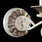 Бра Maytoni Sonate ARM424-WL-01-W - фото №4