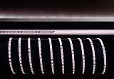 Светодиодная лента Deko-light 840002