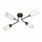 Потолочная люстра Vitaluce V4188-7/4PL - фото №4