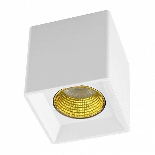 Потолочный светильник Denkirs DK3020WYE DK3080-WH+YE