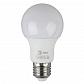 Лампа светодиодная ЭРА E27 6W 2700K матовая ECO LED A60-6W-827-E27 Б0017918 - фото №1