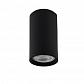 Потолочный светильник Italline M02-65115 black - фото №1