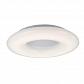Потолочный светодиодный светильник ST Luce Albo SL902.572.01D - фото №1