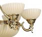 Подвесная люстра MW-Light Афродита 317010809 - фото №4