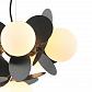 Подвесная люстра Lumien Hall Ilmari LH4136/6P-BR-BK - фото №4