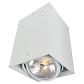 Потолочный светильник Arte Lamp Cardani A5936PL-1WH - фото №1