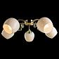 Потолочная люстра Arte Lamp Millo A9549PL-5GO - фото №3