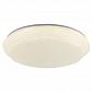 Потолочный светодиодный светильник Lussole Lgo Moonlight LSP-8316 - фото №1