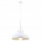 Подвесной светильник Arte Lamp Martin A5213SP-1WG - фото №3