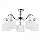 Потолочная люстра Arte Lamp Ibiza A4038PL-5CC - фото №1