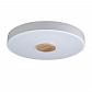 Потолочный светодиодный светильник Loft IT Axel 10003/24 white - фото №1