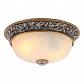 Потолочный светильник Arte Lamp Torta A7141PL-2SB - фото №1
