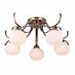 Потолочная люстра Toplight Olivia TL3750X-05AB - фото №1