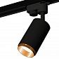Комплект трекового однофазного светильника Ambrella light SBK/PYG черный песок/золото желтое полированное XT6323044 (A2521, C6323, N6124) - фото №1