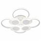Потолочная светодиодная люстра Escada Castor 10232/8LED - фото №1