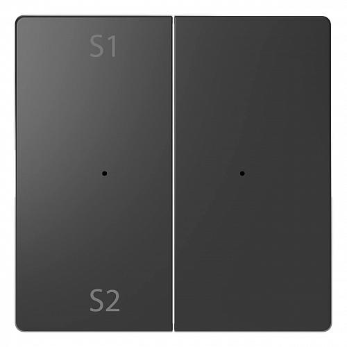 Клавиша двойная Schneider Electric Merten D-Life MTN5226-6034