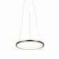 Подвесной светодиодный светильник Loft IT Ring 10014S - фото №2