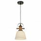 Подвесной светильник Lussole Loft GRLSP-9846 - фото №1