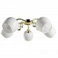 Потолочная люстра Arte Lamp Millo A9549PL-5GO - фото №1