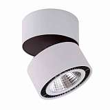 Потолочный светодиодный светильник Lightstar Forte Muro 213859
