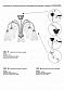 Потолочная люстра Vitaluce V3736-9/5PL - фото №2