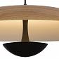 Подвесной светильник Lumien Hall Arta 8007/1PS-WD - фото №2