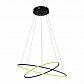 Подвесной светодиодный светильник Arte Lamp A2500SP-2BK - фото №1