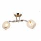 Потолочная люстра Milosh Tendence 0658CL-2GD - фото №1