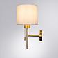 Бра Arte Lamp Proxima A4031AP-1PB - фото №3