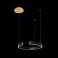 Подвесной светодиодный светильник Loft IT Ring 10025/400 Black - фото №4