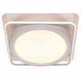 Потолочный светодиодный светильник Adilux 1041