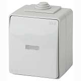 Выключатель одноклавишный с подсветкой ЭРА Эксперт 10AX 250V IP65 11-1602-03 Б0035974