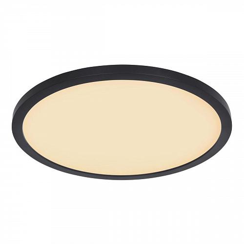 Потолочный светодиодный светильник Globo Sapana 41562-24B