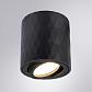 Потолочный светильник Arte Lamp Fang A5559PL-1BK - фото №4