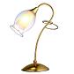 Настольная лампа Arte Lamp Mughetto A9289LT-1GO - фото №1