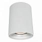 Потолочный светильник Arte Lamp Torre A1532PL-1WH - фото №1