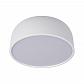 Потолочный светодиодный светильник Loft IT Axel 10201/350 White - фото №2