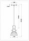 Подвесной светильник Rivoli Principale 5030-201 Б0037719 - фото №2