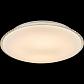 Потолочный светодиодный светильник Globo Madlen 48359-24 - фото №2