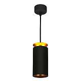 Подвесной светодиодный светильник Elektrostandard DLS021 9+4W 4200К черный матовый/золото a045504