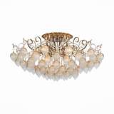 Потолочная люстра ST Luce Frutti SL659.302.09