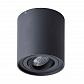 Потолочный светильник Arte Lamp Falcon A5645PL-1BK - фото №1