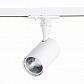 Трековый светодиодный светильник ST Luce Cami ST351.536.10.36 - фото №1