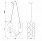 Подвесная люстра Freya Perlina FR4005PL-06B2 - фото №2